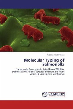 Molecular Typing of Salmonella