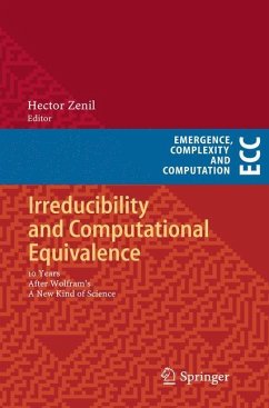 Irreducibility and Computational Equivalence