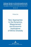 New Approaches to the Dynamics, Measurement and Economic Implications of Ethnic Diversity