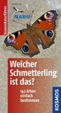 Welcher Schmetterling ist das?