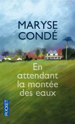 En attendant la montée des eaux - Condé, Maryse