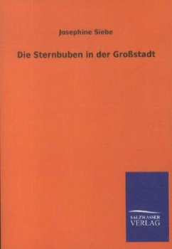 Die Sternbuben in der Großstadt - Siebe, Josephine