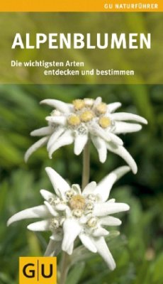 Alpenblumen - Hofmann, Helga