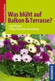 Was blüht auf Balkon & Terrasse?  (Restauflage)