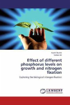 Effect of different phosphorus levels on growth and nitrogen fixation