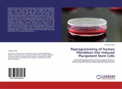 Reprogramming of human Fibroblast into Induced Pluripotent Stem Cells