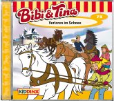 Verloren im Schnee / Bibi & Tina Bd.73 (1 Audio-CD)