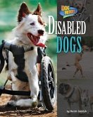 Disabled Dogs