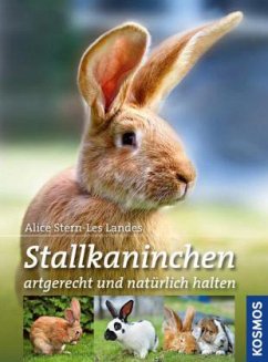 Stallkaninchen - Stern-Les Landes, Alice