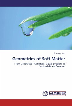 Geometries of Soft Matter - Yao, Zhenwei