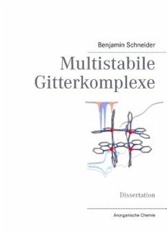 Multistabile Gitterkomplexe - Schneider, Benjamin