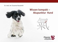 Wissen kompakt - Akupunktur Hund - Hauswirth, Susanne