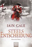 Steels Entscheidung / Captain Steel Bd.3