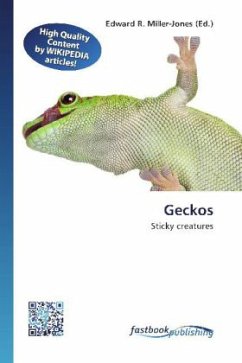 Geckos