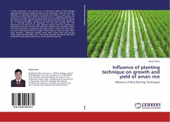Influence of planting technique on growth and yield of aman rice