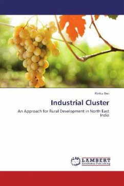Industrial Cluster - Das, Rinku