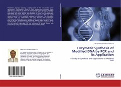 Enzymatic Synthesis of Modified DNA by PCR and its Application