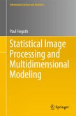Statistical Image Processing and Multidimensional Modeling