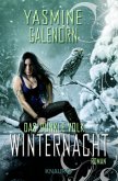 Winternacht / Das dunkle Volk Bd.3