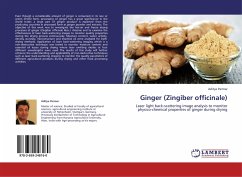 Ginger (Zingiber officinale)