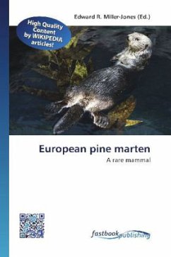 European pine marten