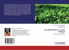 Tea plantation in west Bengal