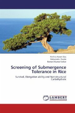 Screening of Submergence Tolerance in Rice