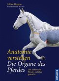 Anatomie verstehen - Die Organe des Pferdes