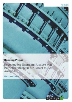 Regenerative Energien: Analyse von Betriebskonzepten für Power-to-Gas-Anlagen - Prigge, Henning