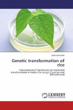 Genetic transformation of rice