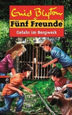 Gefahr im Bergwerk / Fünf Freunde Bd.67 - Blyton, Enid