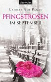 Pfingstrosen im September