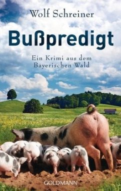 Bußpredigt / Baltasar Senner Bd.3 - Schreiner, Wolf