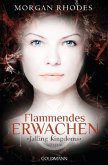 Flammendes Erwachen / Falling Kingdoms Bd.1