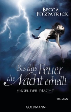 Bis das Feuer die Nacht erhellt / Engel der Nacht Bd.2 - Fitzpatrick, Becca