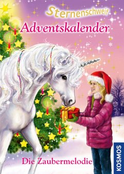 Cover Adventskalender - Die Zaubermelodie