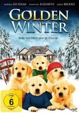 Golden Winter - Wir suchen ein Zuhause