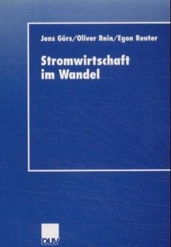 Stromwirtschaft im Wandel - Görs, Jens; Rein, Oliver; Reuter, Egon