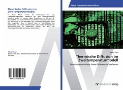 Thermische Diffusion im Zweitemperaturmodell - Evers, Martin