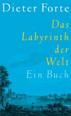 Das Labyrinth der Welt