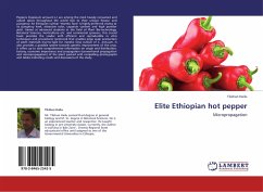 Elite Ethiopian hot pepper