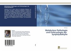 Molekulare Pathologie und Embryologie der Synpolydaktylie - Kuss, Pia