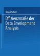 Effizienzmaße der Data Envelopment... - Bild 1