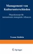 Management von Kulturunterschieden - Bild 1