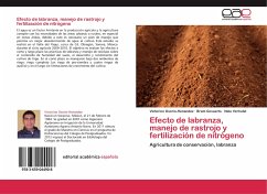 Efecto de labranza, manejo de rastrojo y fertilización de nitrógeno - Osorio-Henandez, Victorino;Govaerts, Bram;Verhulst, Nele