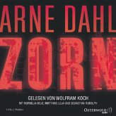 Zorn / Opcop-Team Bd.2 (6 Audio-CDs)