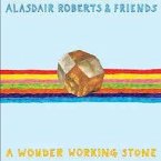 A Wonder Working Stone A Wonder Working Stone