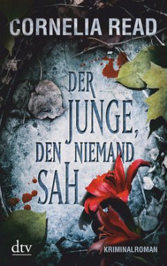 Der Junge, den niemand sah / Madeline Dare Bd.3 - Read, Cornelia