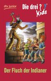 Der Fluch der Indianer / Die drei Fragezeichen-Kids Bd.37