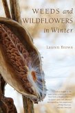 Weeds and Wildflowers in Winter